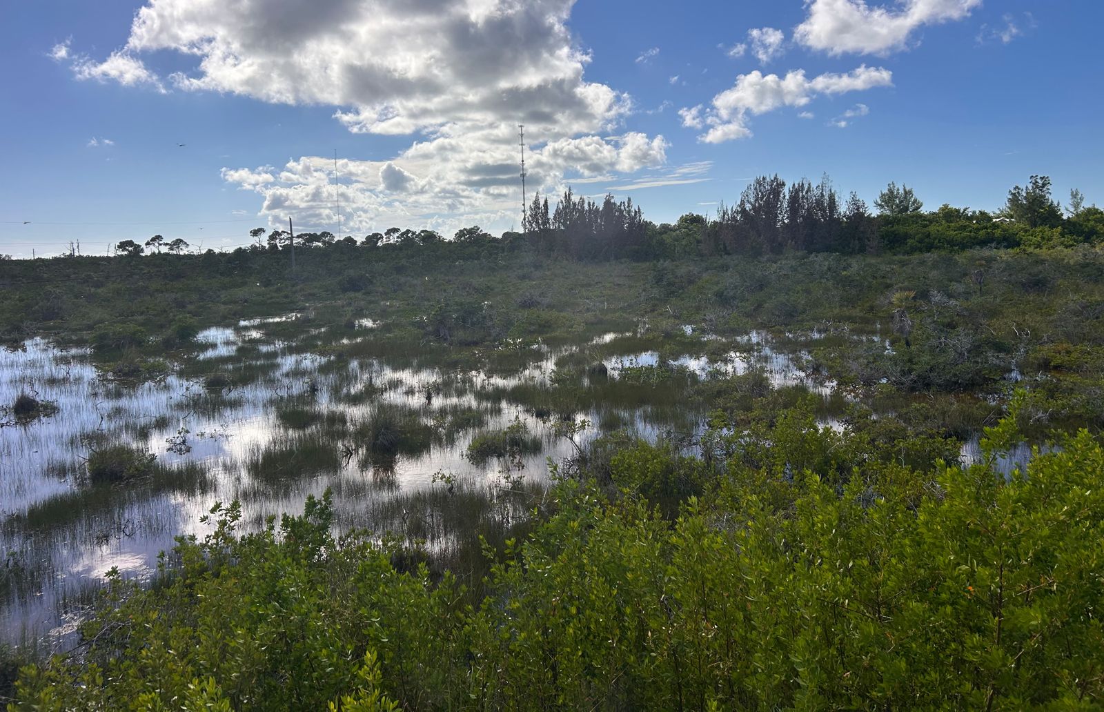 Lower Keys